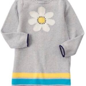 Gymboree Gray Dress with Daisy and Colorful Stripes